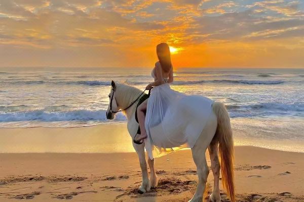 鉑頓國際公寓酒店